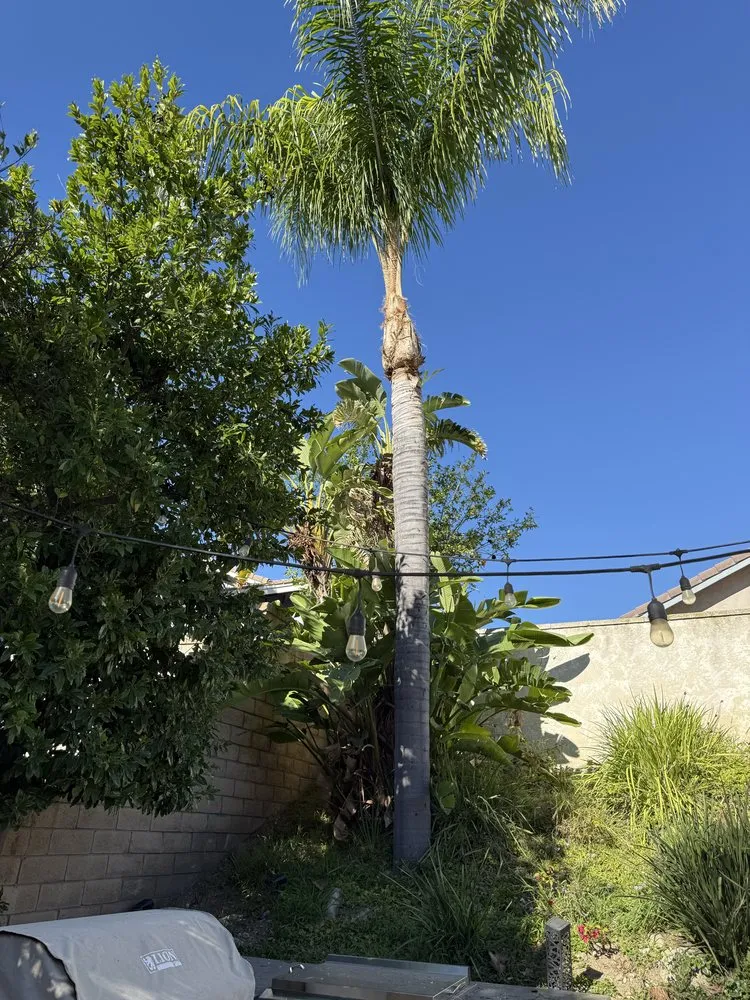 Custom lawn mowing service in San Bernardino, CA by E N D Landscaping