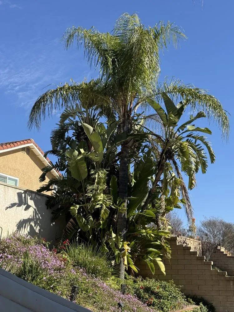 Top-rated residential landscaping in San Bernardino, CA by E N D Landscaping