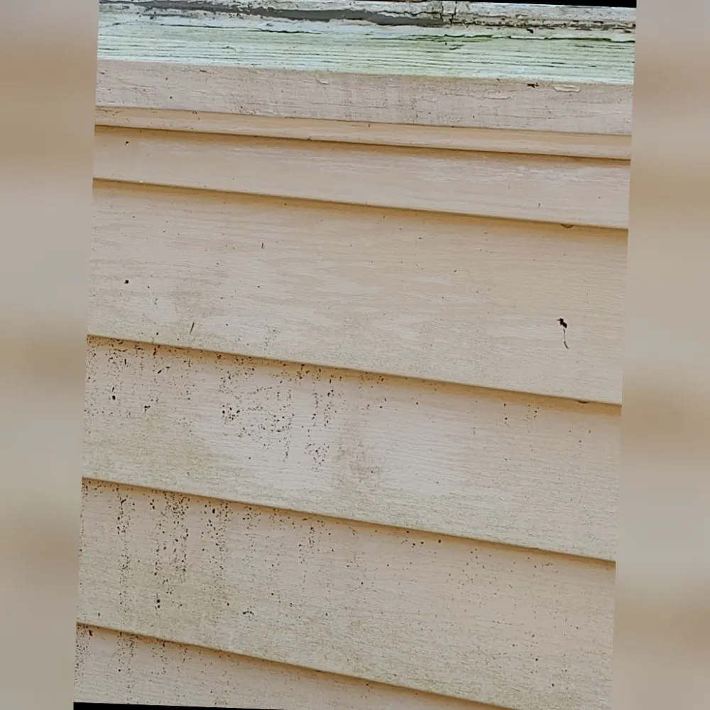 Professional garden landscaping in Kernersville, NC - E-Nuff Pressure Washing and Handyman Services