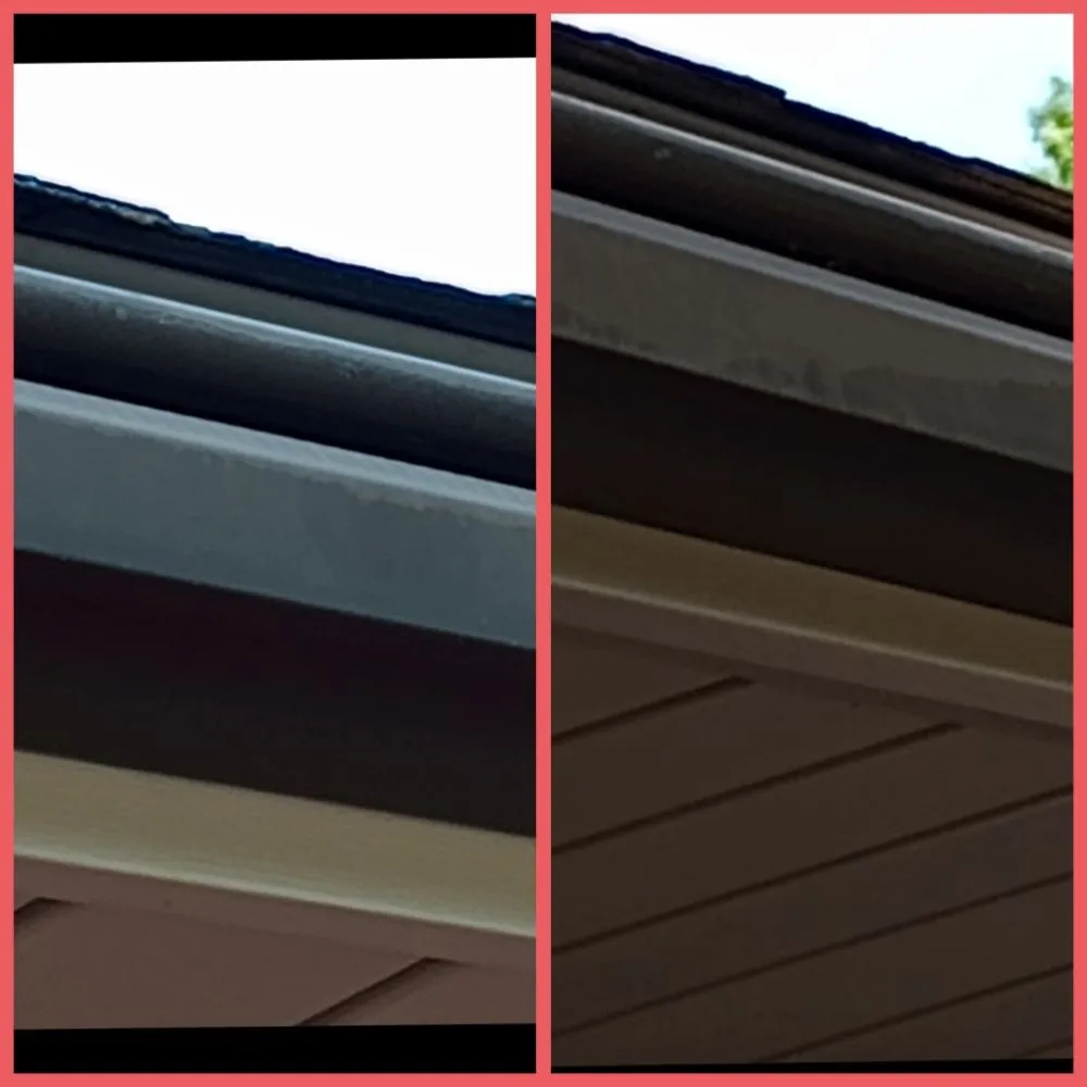 Local yard cleanup service experts serving Kernersville, NC - E-Nuff Pressure Washing and Handyman Services