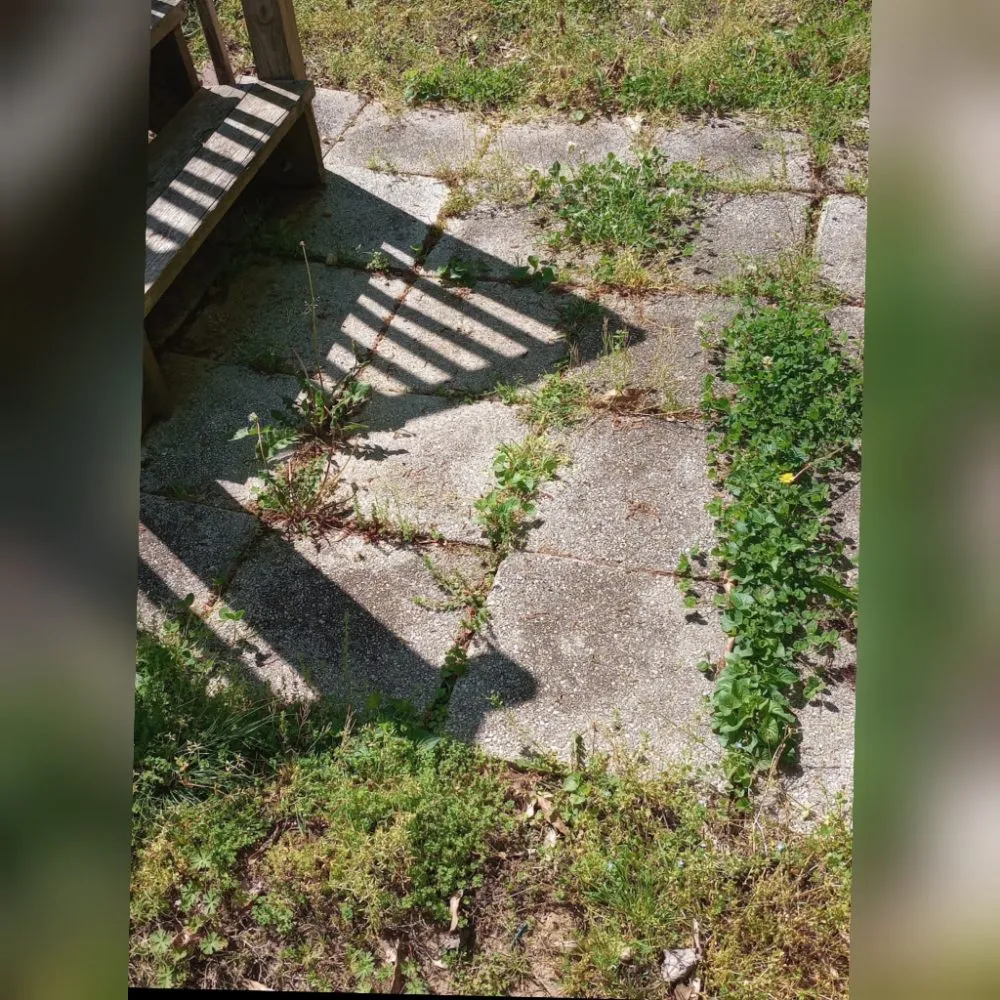 Local garden landscaping experts serving Kernersville, NC - E-Nuff Pressure Washing and Handyman Services