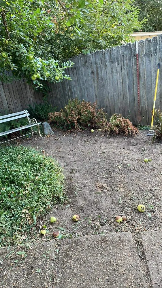 Top-rated yard cleanup service with custom design across Salem, OR - E-O landscape & More