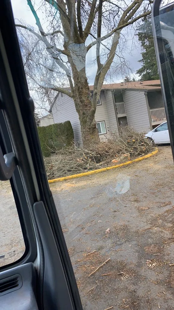 Affordable outdoor landscaping in Salem, OR - E-O landscape & More