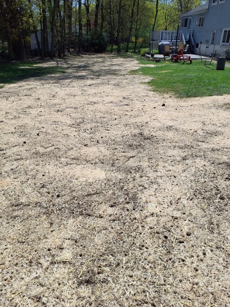 Expert landscaping services experts serving Briarcliff Manor, NY - E Pani Landscape Service