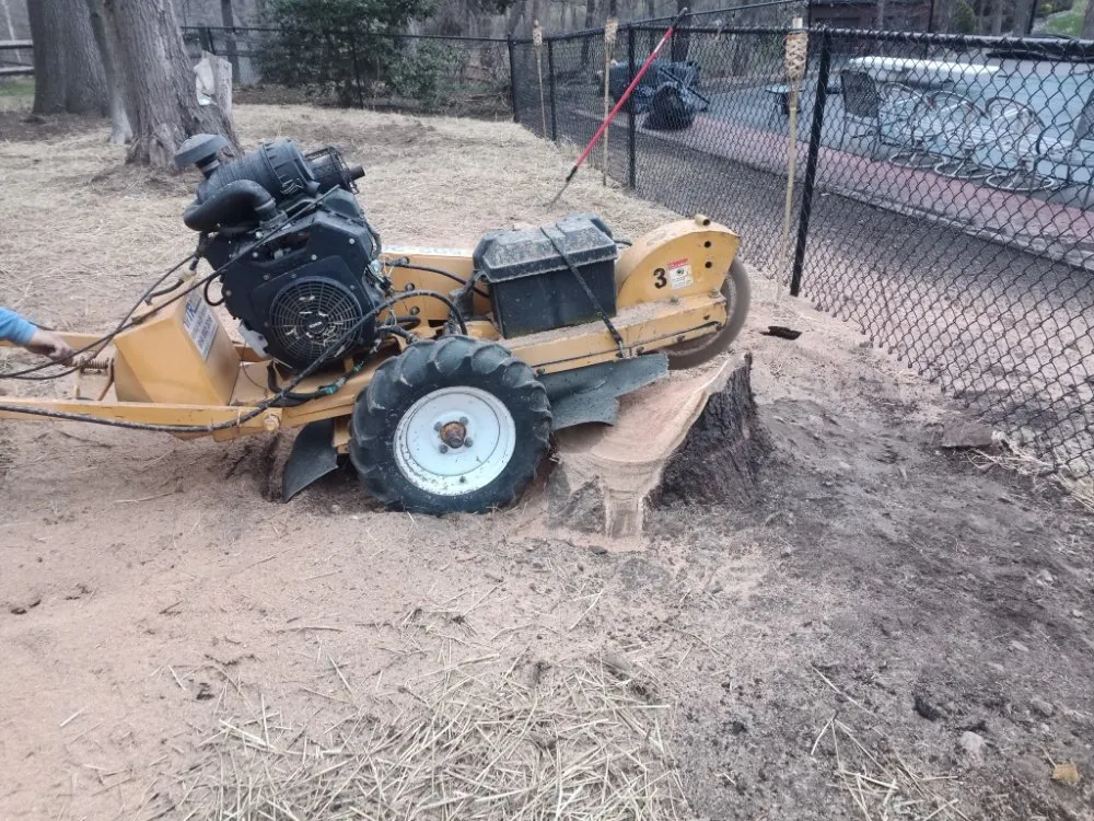 Custom garden landscaping in Briarcliff Manor, NY by E Pani Landscape Service