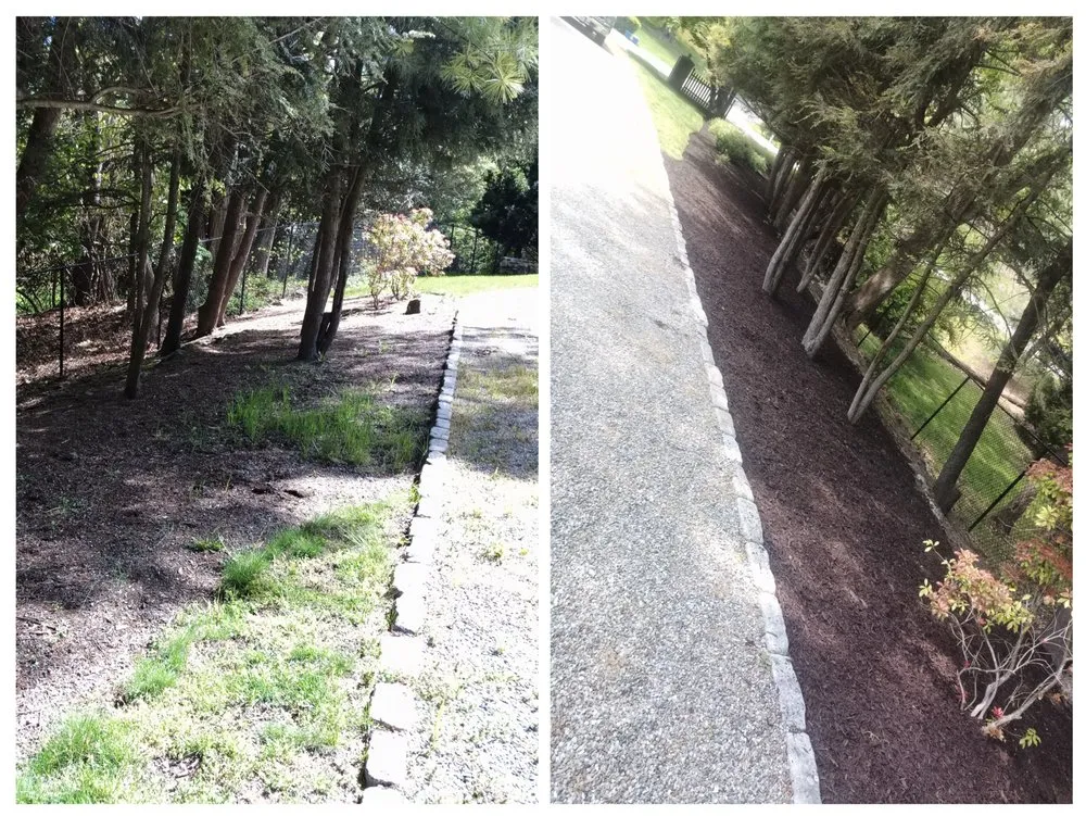 Custom yard cleanup service experts serving Briarcliff Manor, NY - E Pani Landscape Service