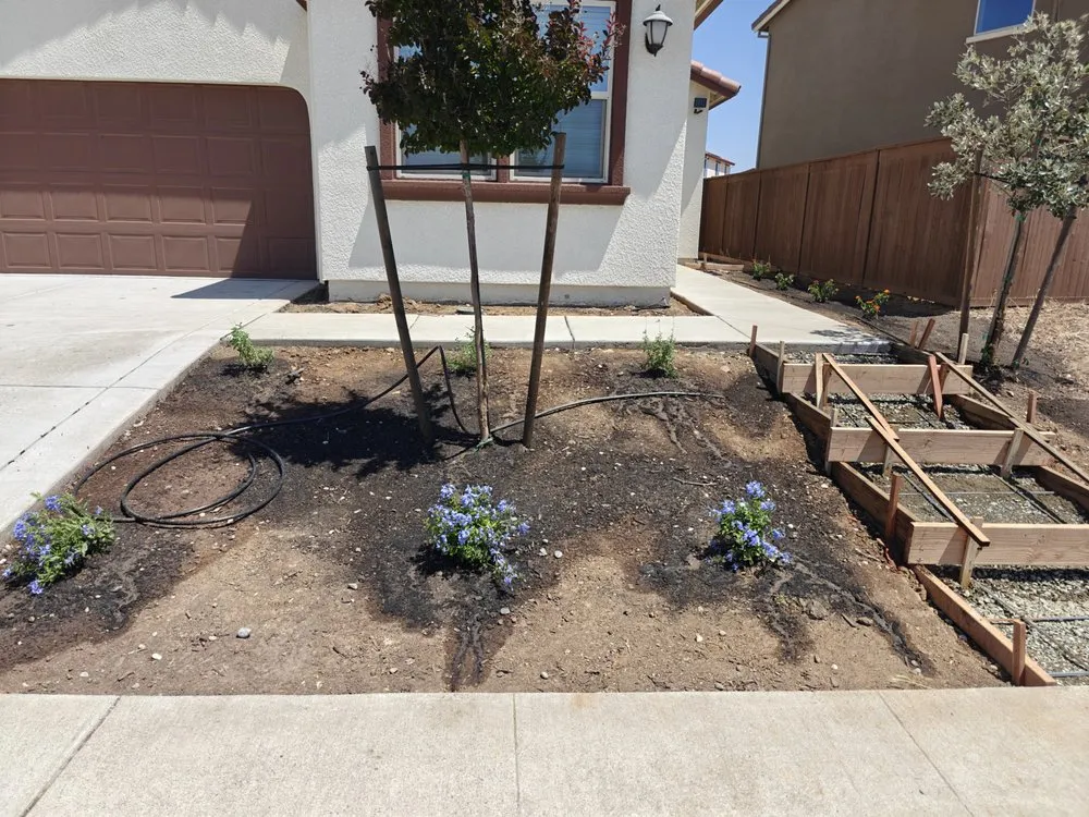 Expert landscape installation experts serving Herald, CA - E. Perez Landscape