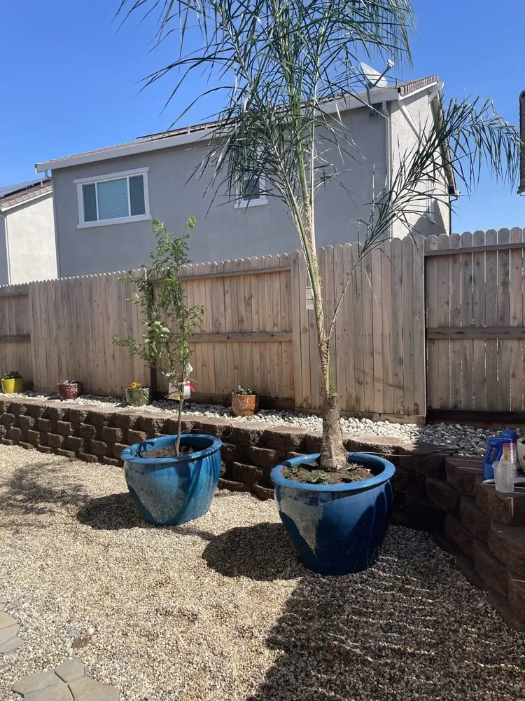 Expert landscaping services for homes in Herald, CA by E. Perez Landscape