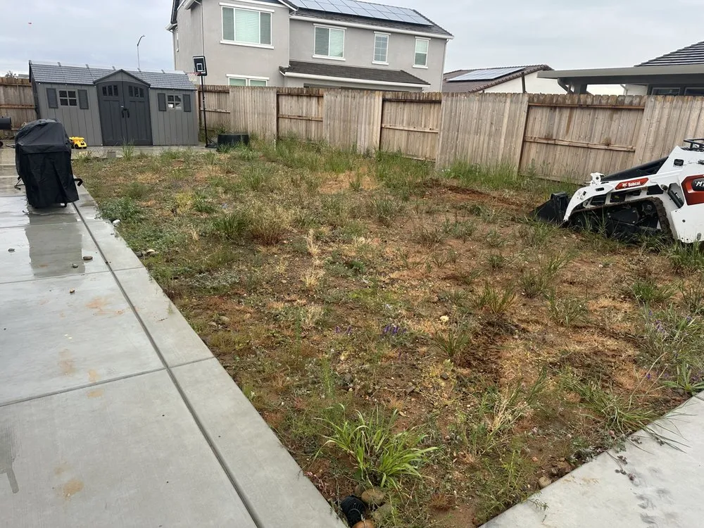 Affordable yard maintenance in Herald, CA - E. Perez Landscape