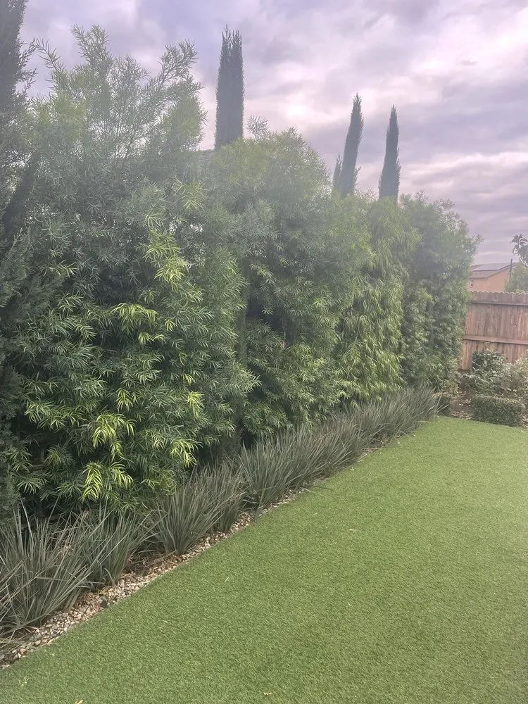 Professional landscape installation in Herald, CA by E. Perez Landscape