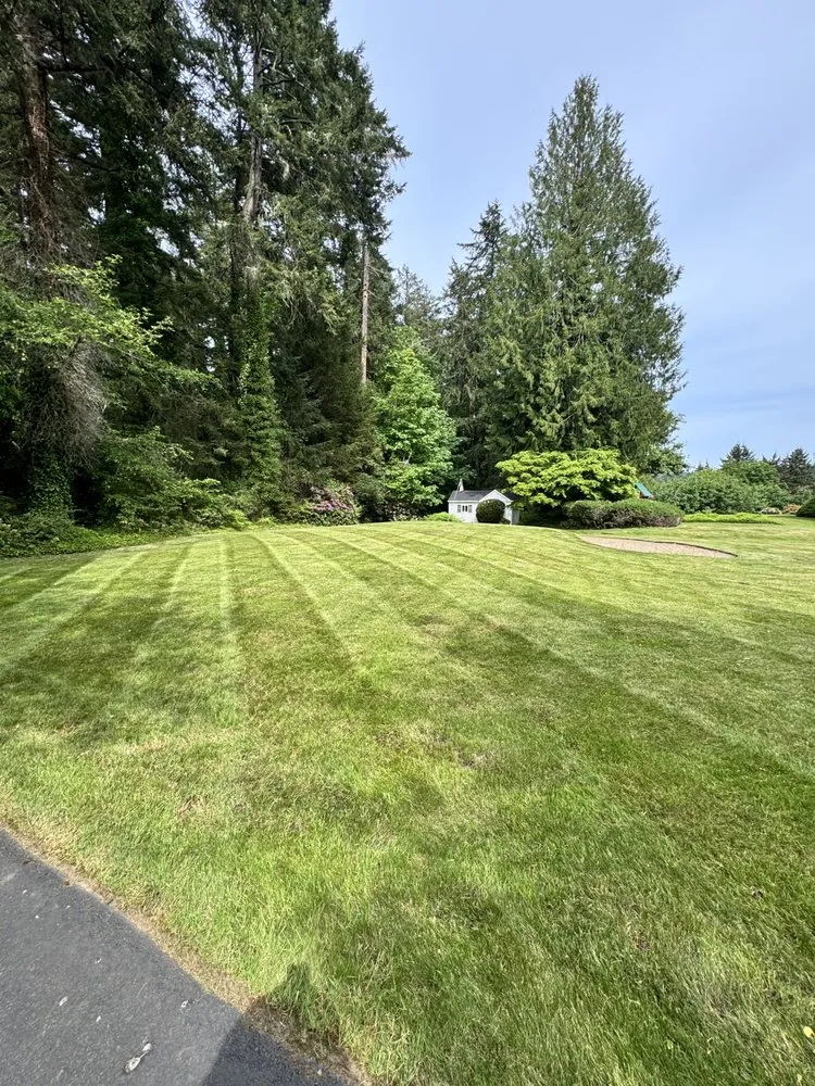 Local landscape installation experts serving Bremerton, WA - E Ramos Ramirez Landscape & Maintenance Service
