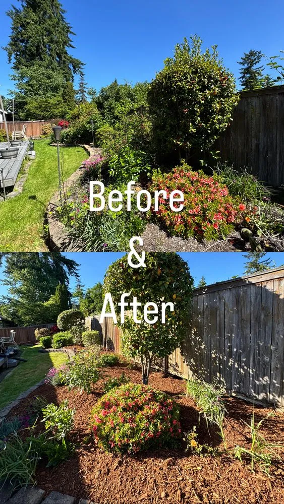Expert lawn care service in Bremerton, WA by E Ramos Ramirez Landscape & Maintenance Service