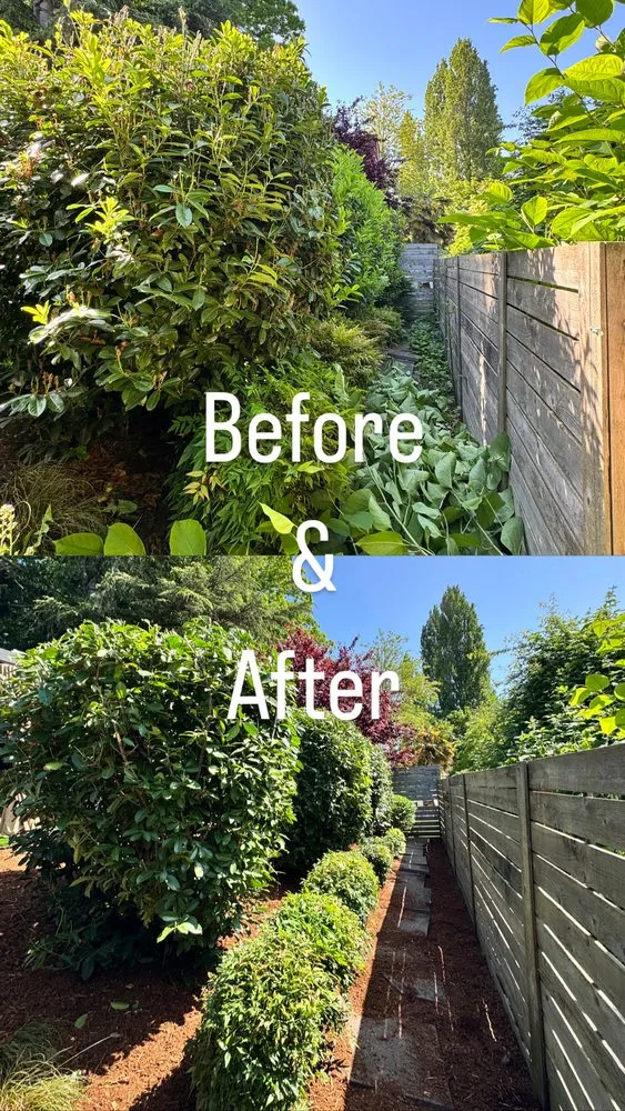 Top-rated yard cleanup service for outdoor upgrades across Bremerton, WA - E Ramos Ramirez Landscape & Maintenance Service