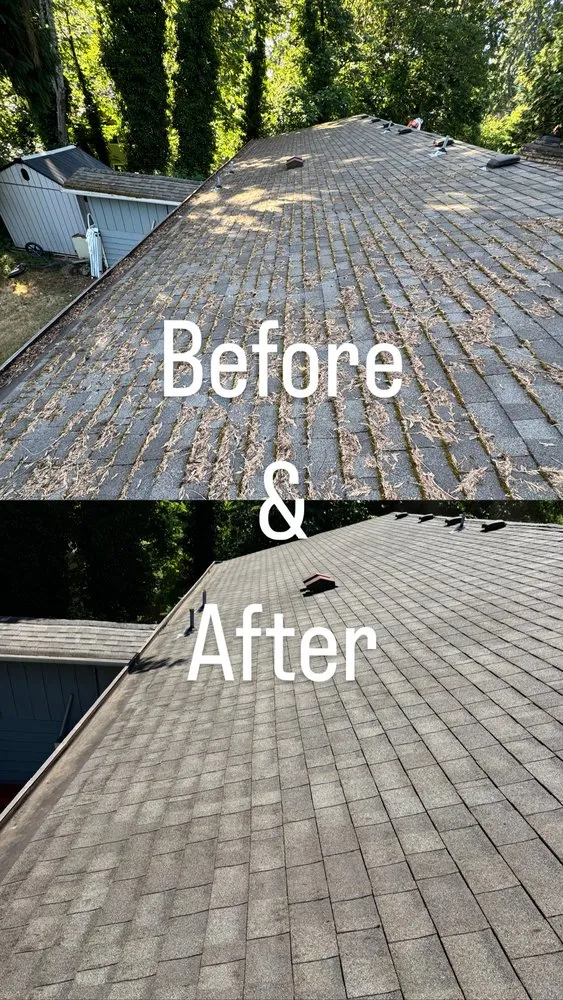 Top-rated garden landscaping for outdoor upgrades across Bremerton, WA - E Ramos Ramirez Landscape & Maintenance Service