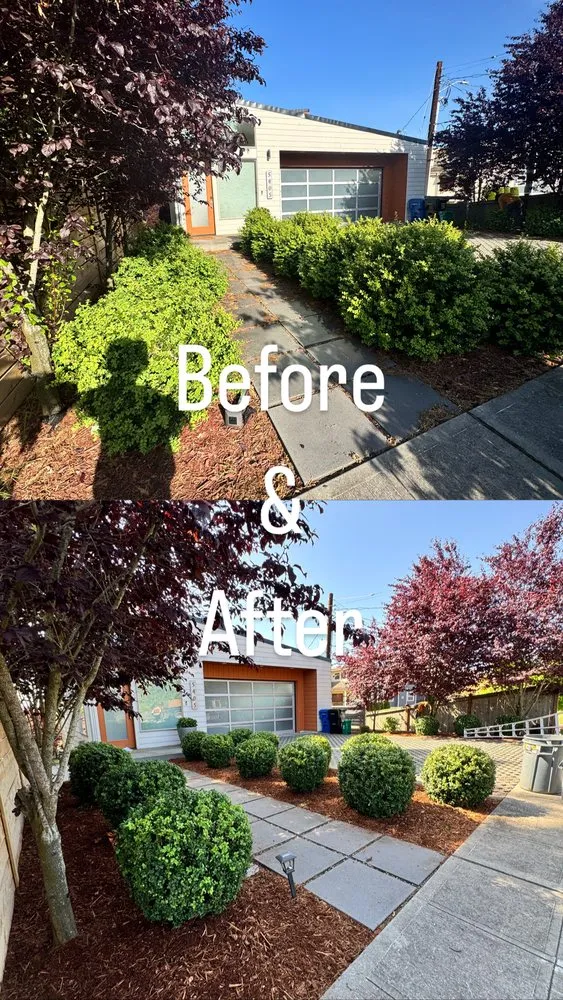 Trusted lawn care service for year-round maintenance across Bremerton, WA - E Ramos Ramirez Landscape & Maintenance Service