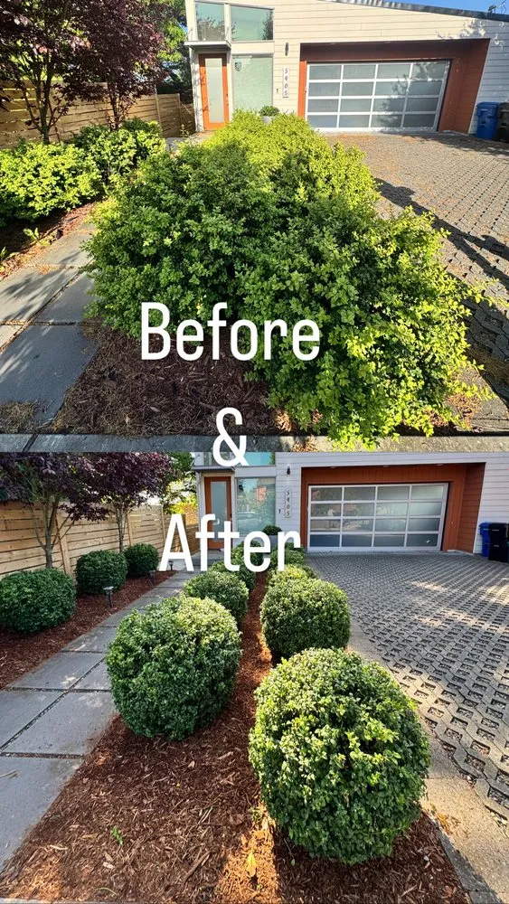 Local landscape installation in Bremerton, WA by E Ramos Ramirez Landscape & Maintenance Service