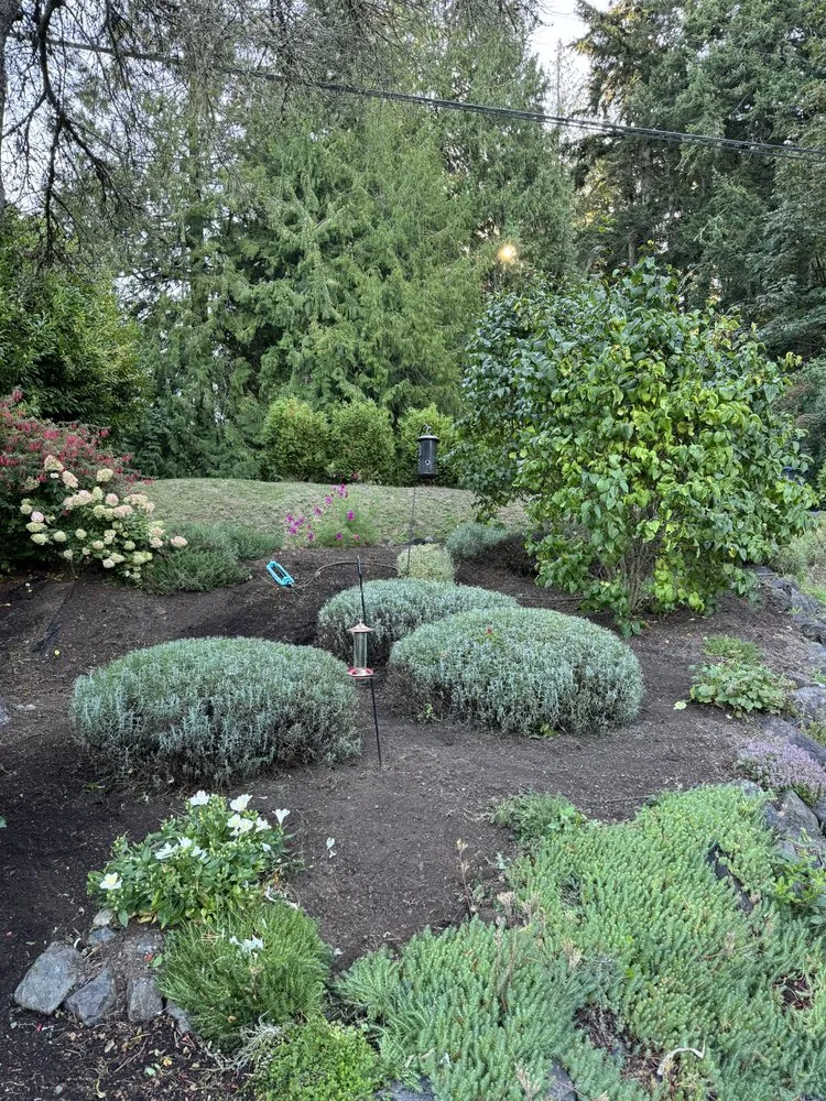 Local landscape installation in Bremerton, WA by E Ramos Ramirez Landscape & Maintenance Service