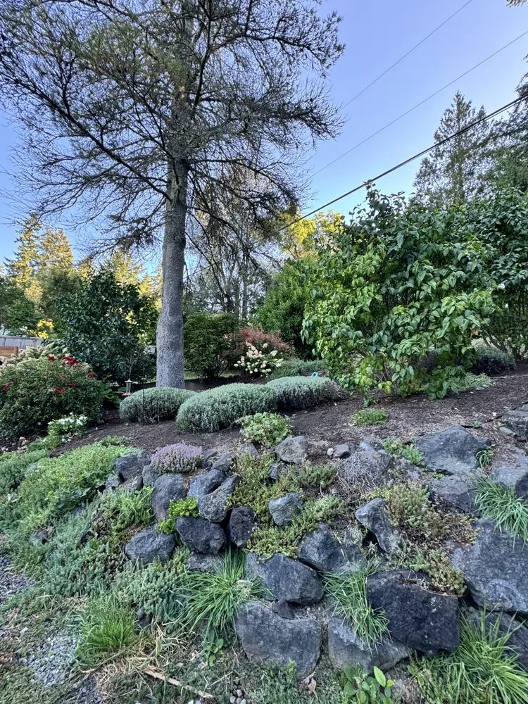 Reliable yard maintenance for residential properties in Bremerton, WA by E Ramos Ramirez Landscape & Maintenance Service