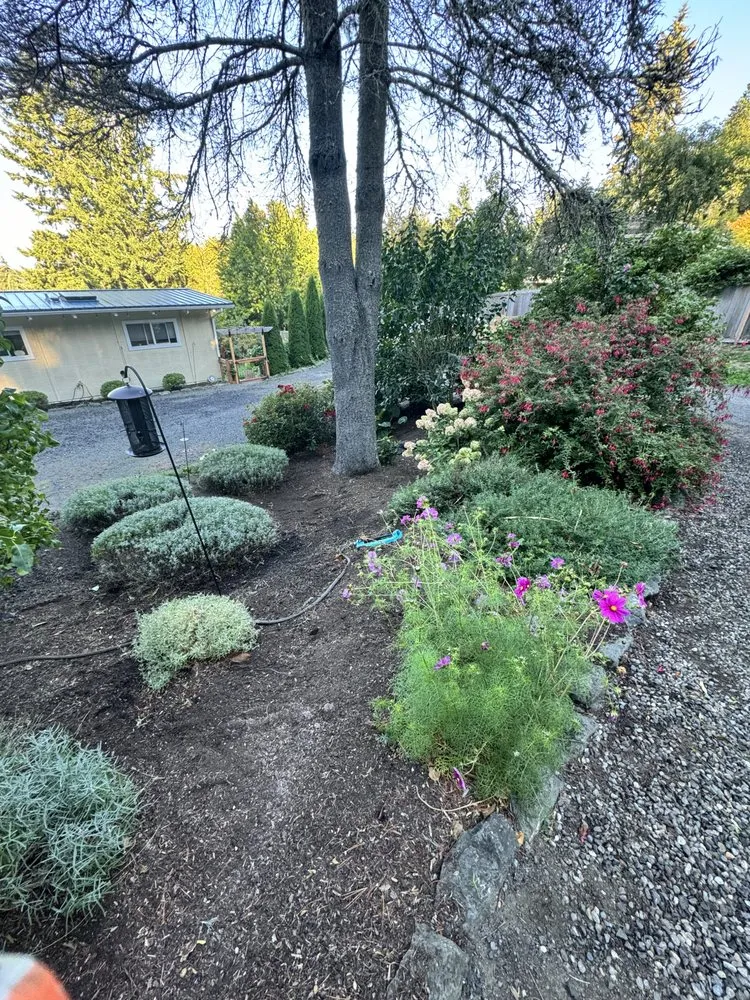 Local landscaping services in Bremerton, WA by E Ramos Ramirez Landscape & Maintenance Service