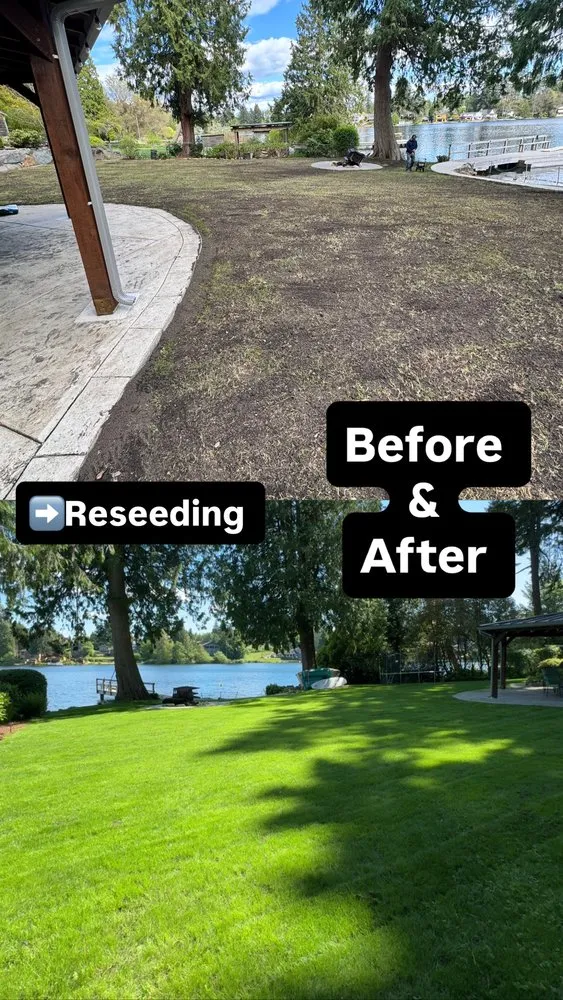 Trusted lawn care service experts serving Bremerton, WA - E Ramos Ramirez Landscape & Maintenance Service