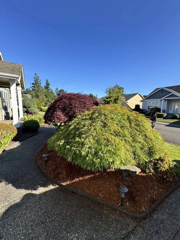 Local outdoor landscaping in Bremerton, WA - E Ramos Ramirez Landscape & Maintenance Service