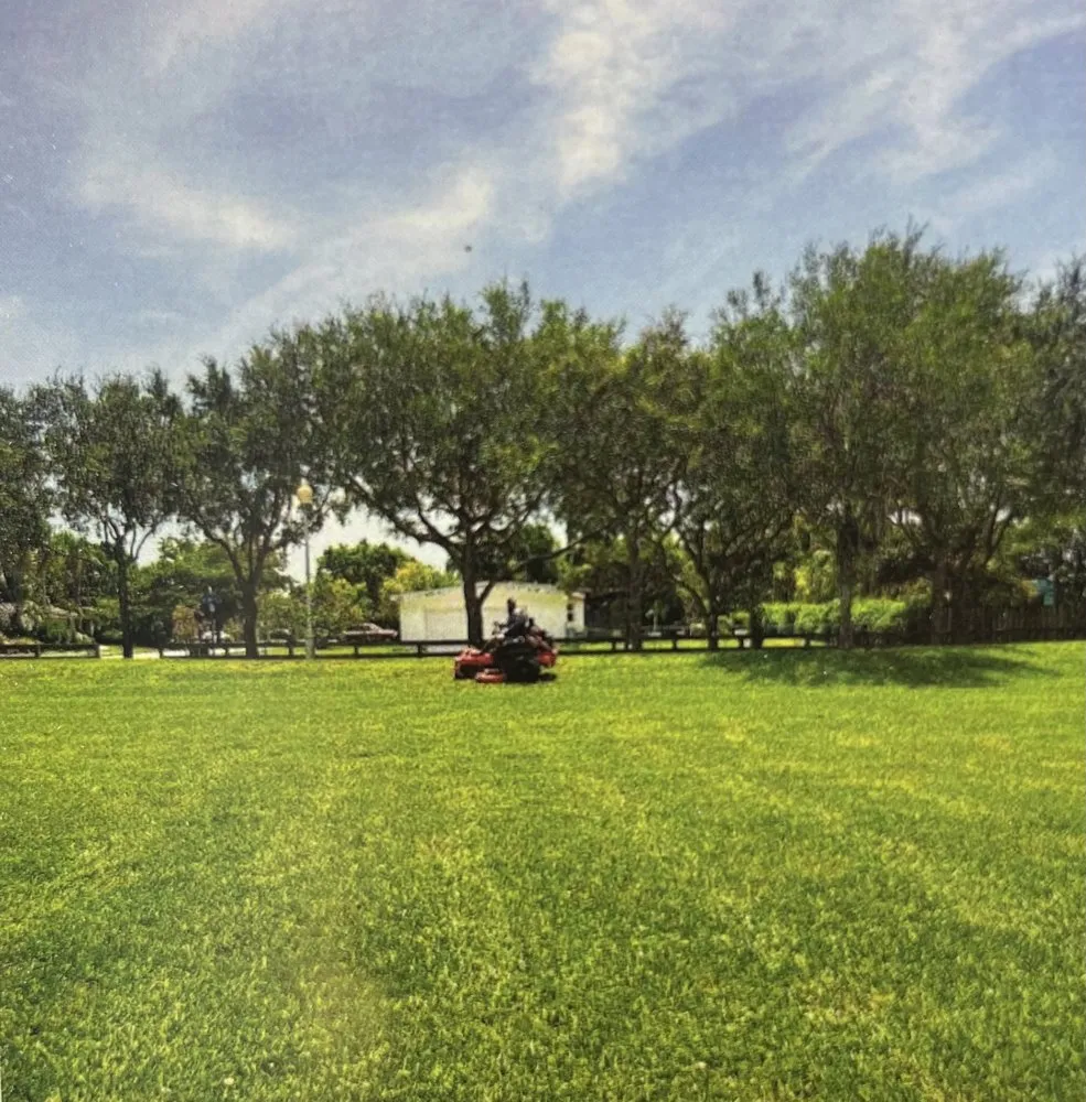 Professional residential landscaping for outdoor upgrades in Miami, FL by E Rodriguez Landscaping