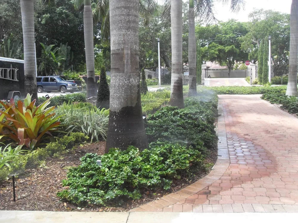 Top-rated lawn care service in Miami, FL by E Rodriguez Landscaping