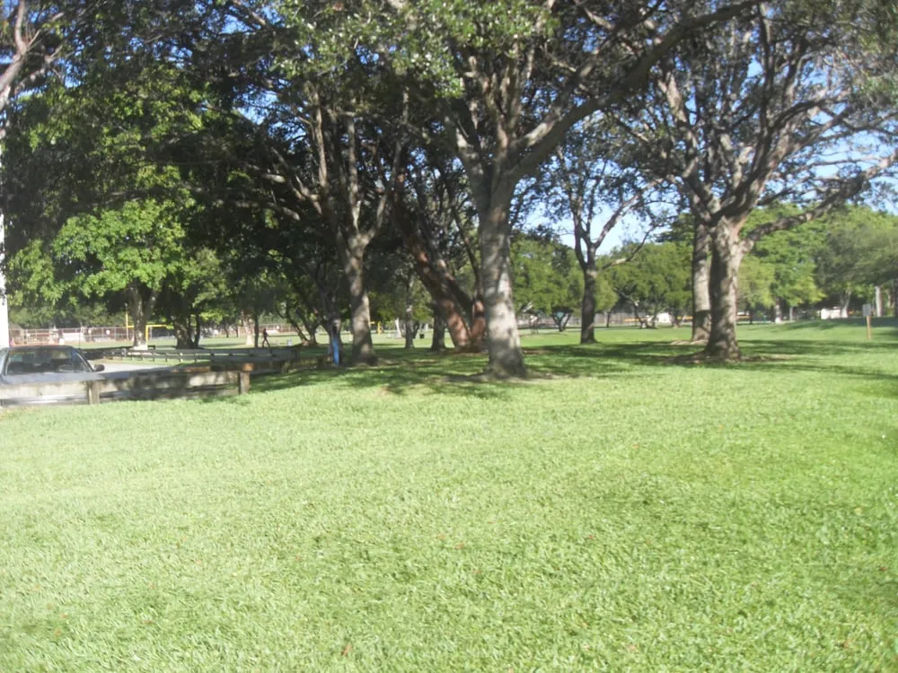 Affordable yard maintenance for beautiful yards in Miami, FL by E Rodriguez Landscaping