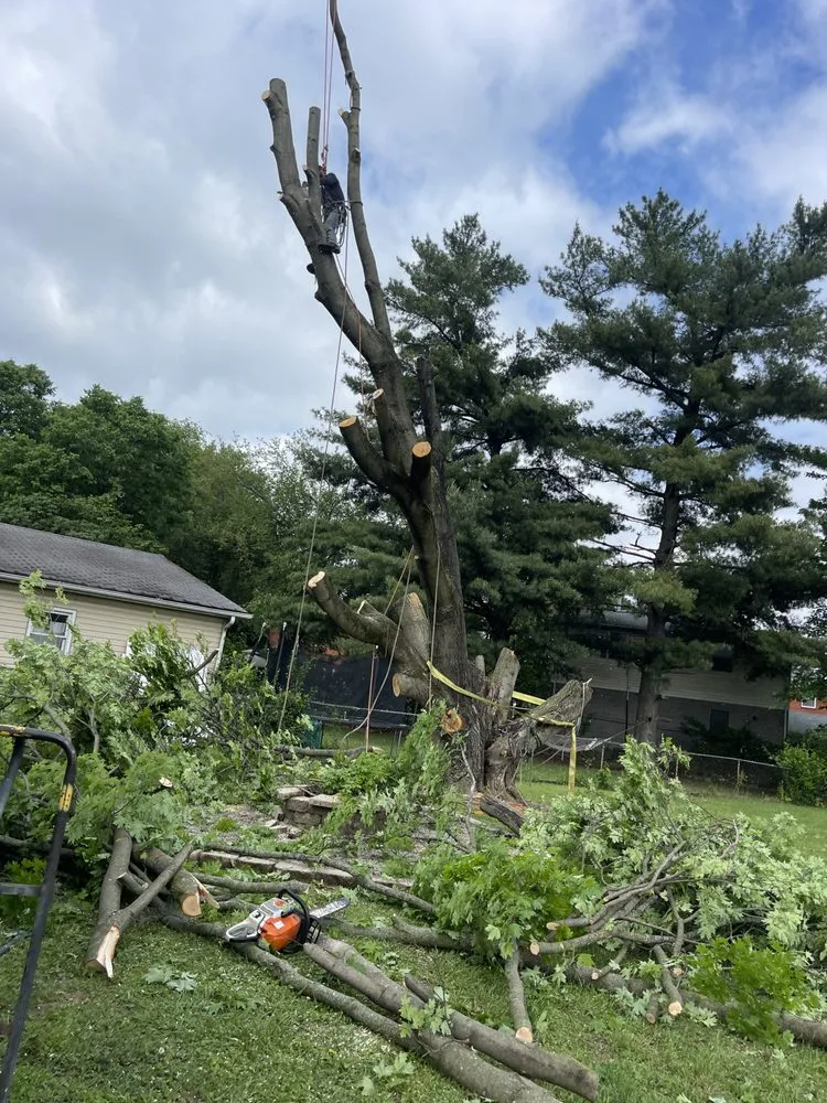 Trusted landscaping services in Okolona, KY - E Samuel's Tree Services