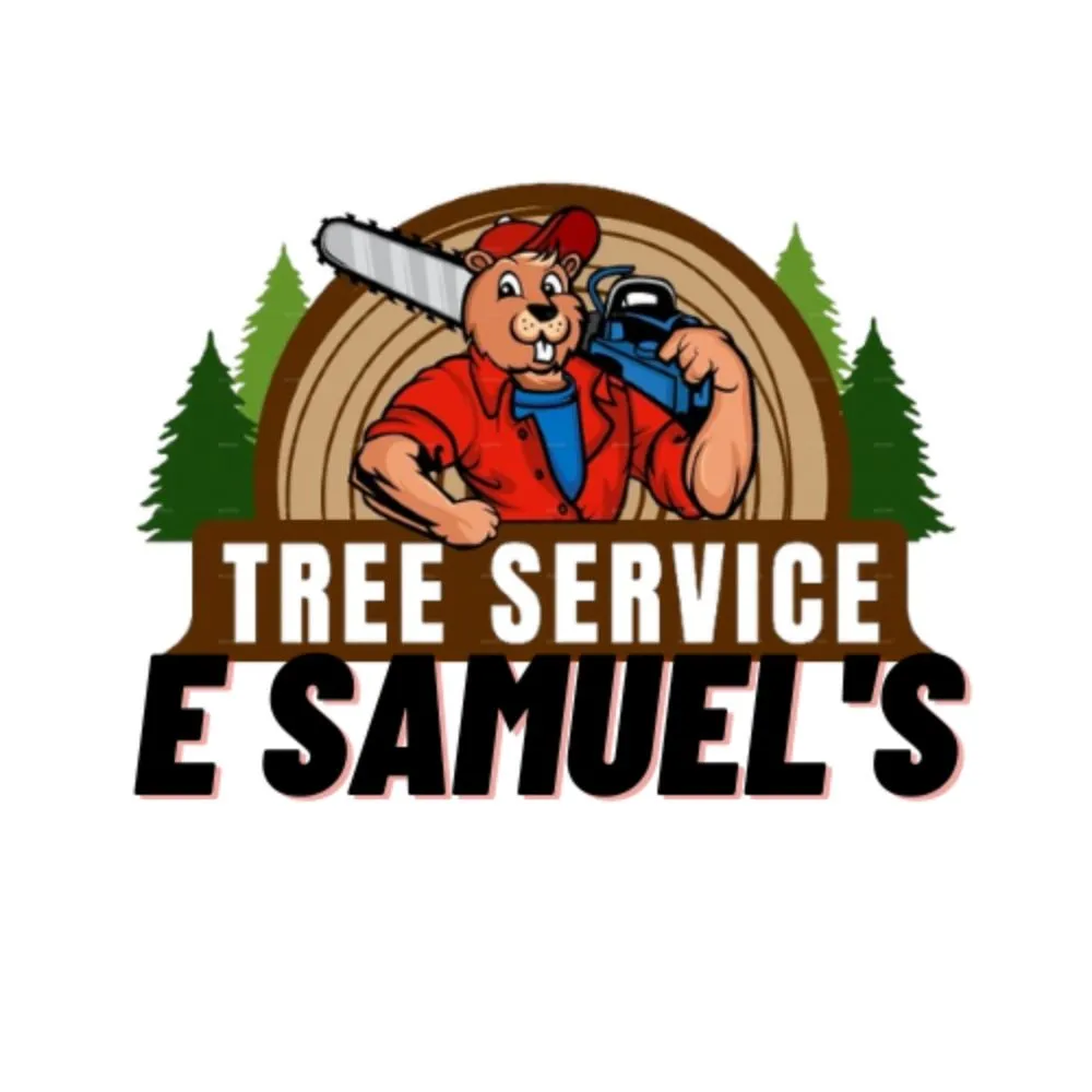 Expert landscaping services experts serving Okolona, KY - E Samuel's Tree Services