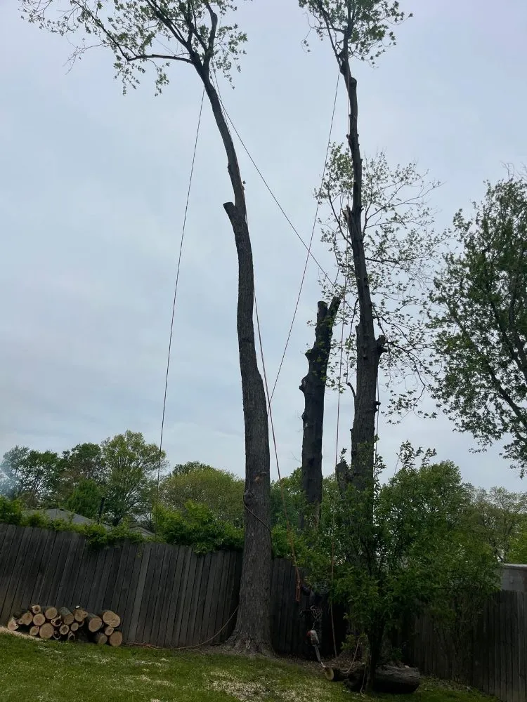 Custom lawn care service for homes across Okolona, KY - E Samuel's Tree Services