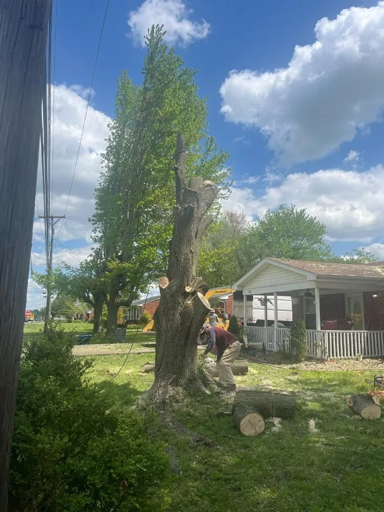 Reliable outdoor landscaping in Okolona, KY by E Samuel's Tree Services