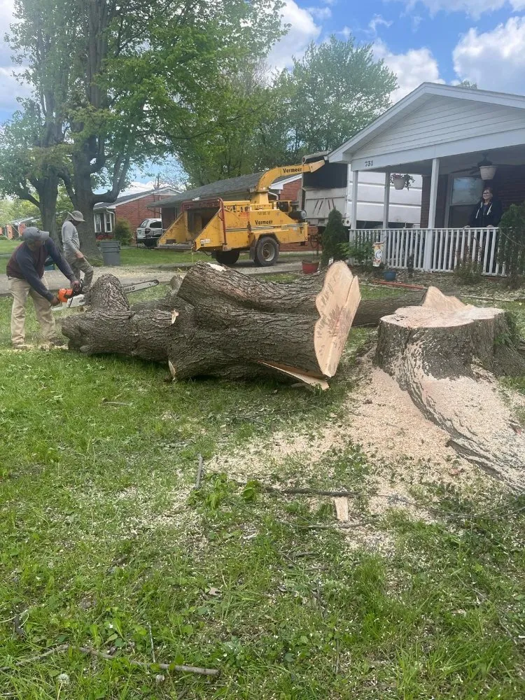 Local outdoor landscaping experts serving Okolona, KY - E Samuel's Tree Services