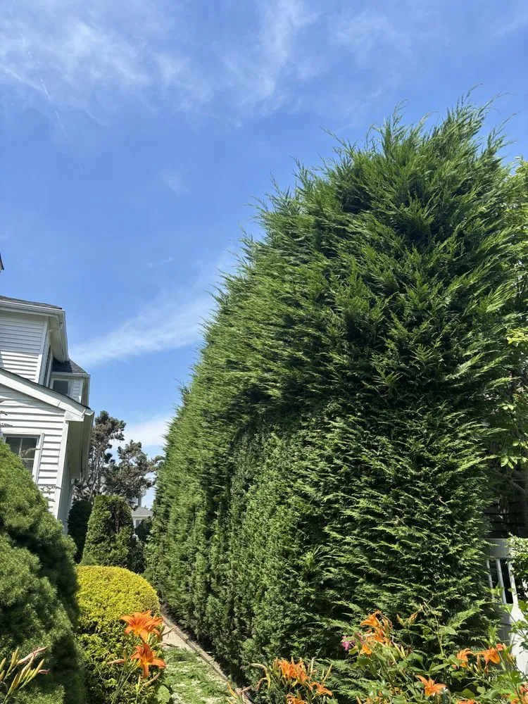 Professional landscape installation in Neptune City, NJ - E Sanchez Landscaping