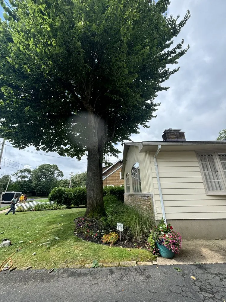 Affordable lawn mowing service for homes in Neptune City, NJ by E Sanchez Landscaping