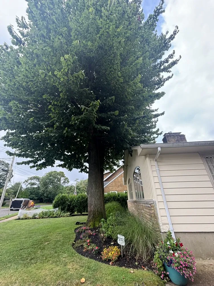 Custom landscape design in Neptune City, NJ by E Sanchez Landscaping