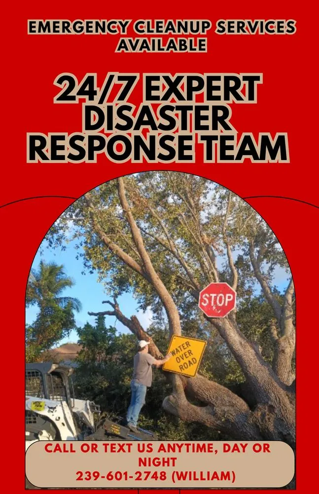 Custom landscape installation experts serving Naples, FL - E Scape Property Services