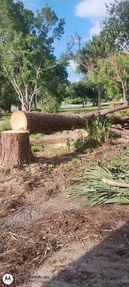 Affordable landscape design near you across Naples, FL - E Scape Property Services