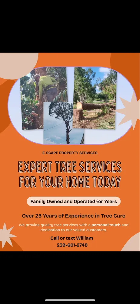 Custom outdoor landscaping experts serving Naples, FL - E Scape Property Services