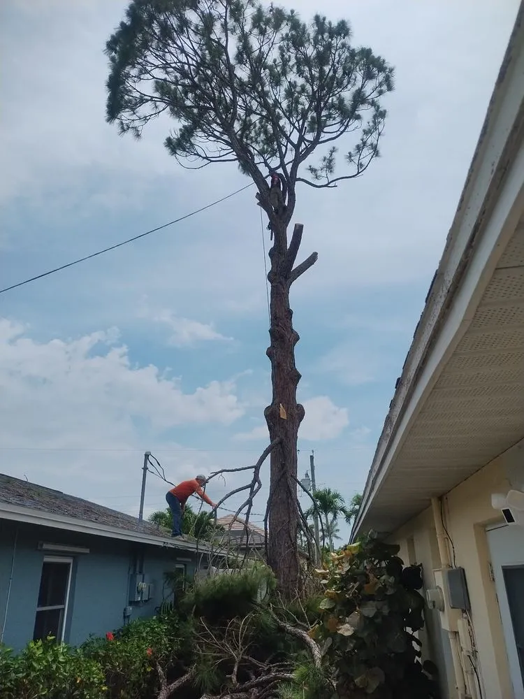 Local lawn care service for residential properties in Naples, FL by E Scape Property Services