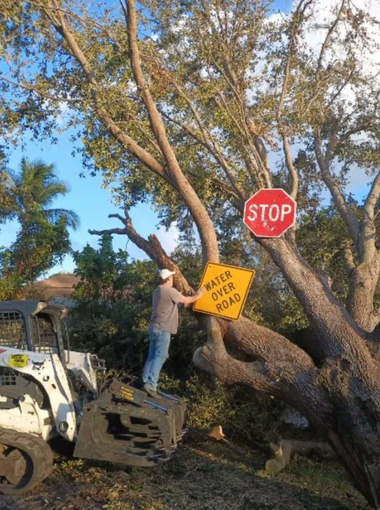 Custom outdoor landscaping in Naples, FL - E Scape Property Services