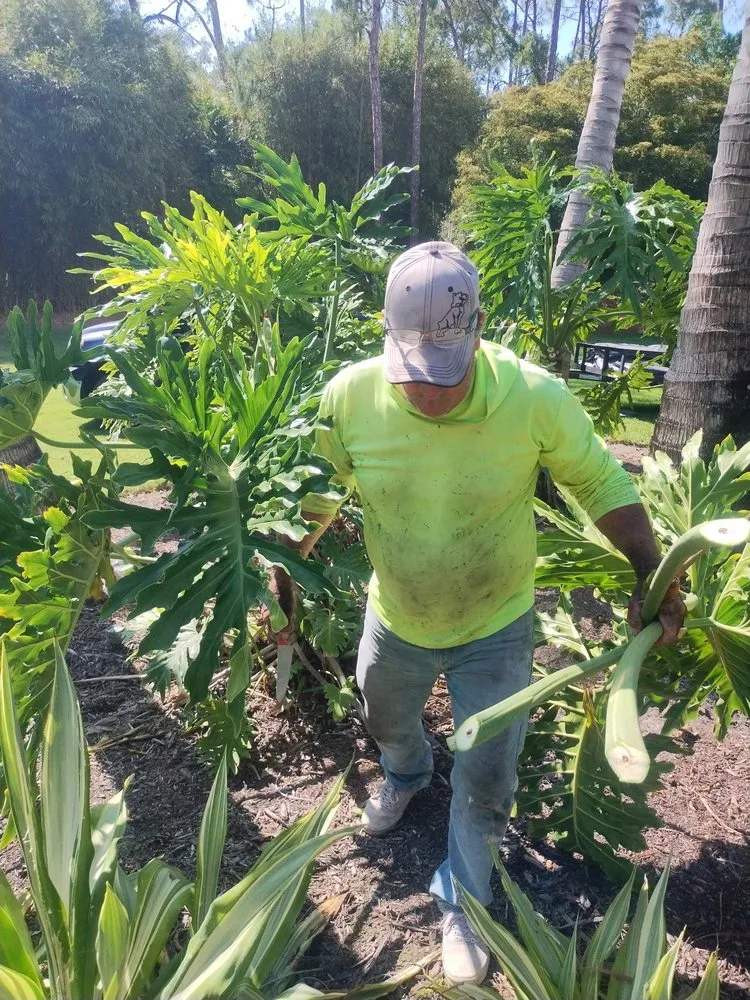 Trusted lawn care service in Naples, FL - E Scape Property Services