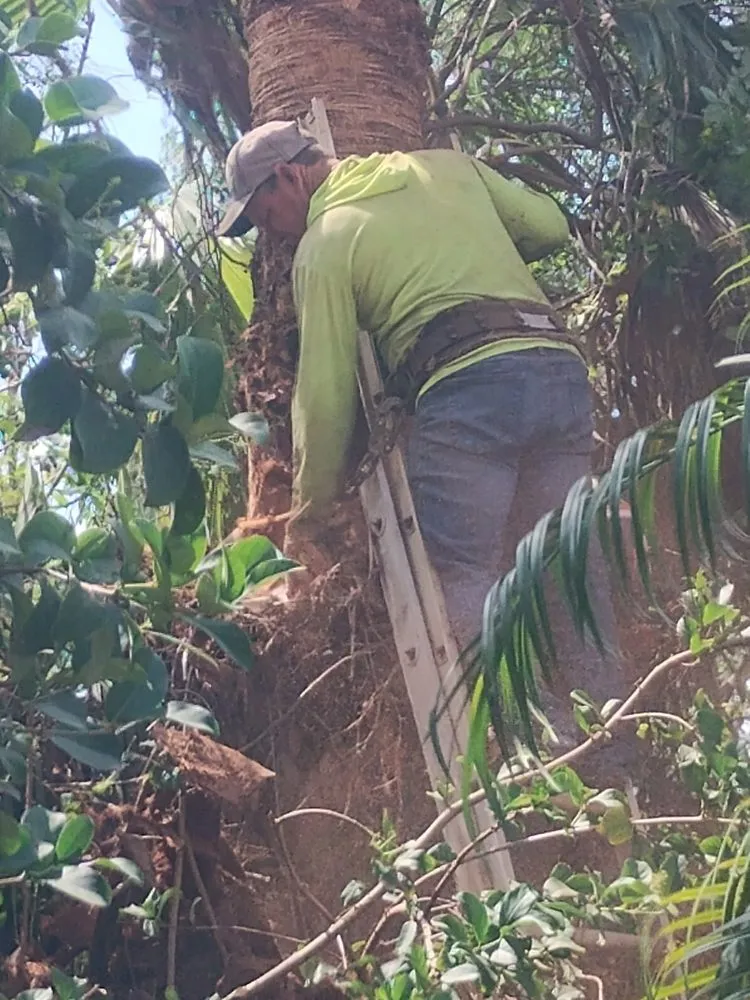 Top-rated yard cleanup service near you across Naples, FL - E Scape Property Services