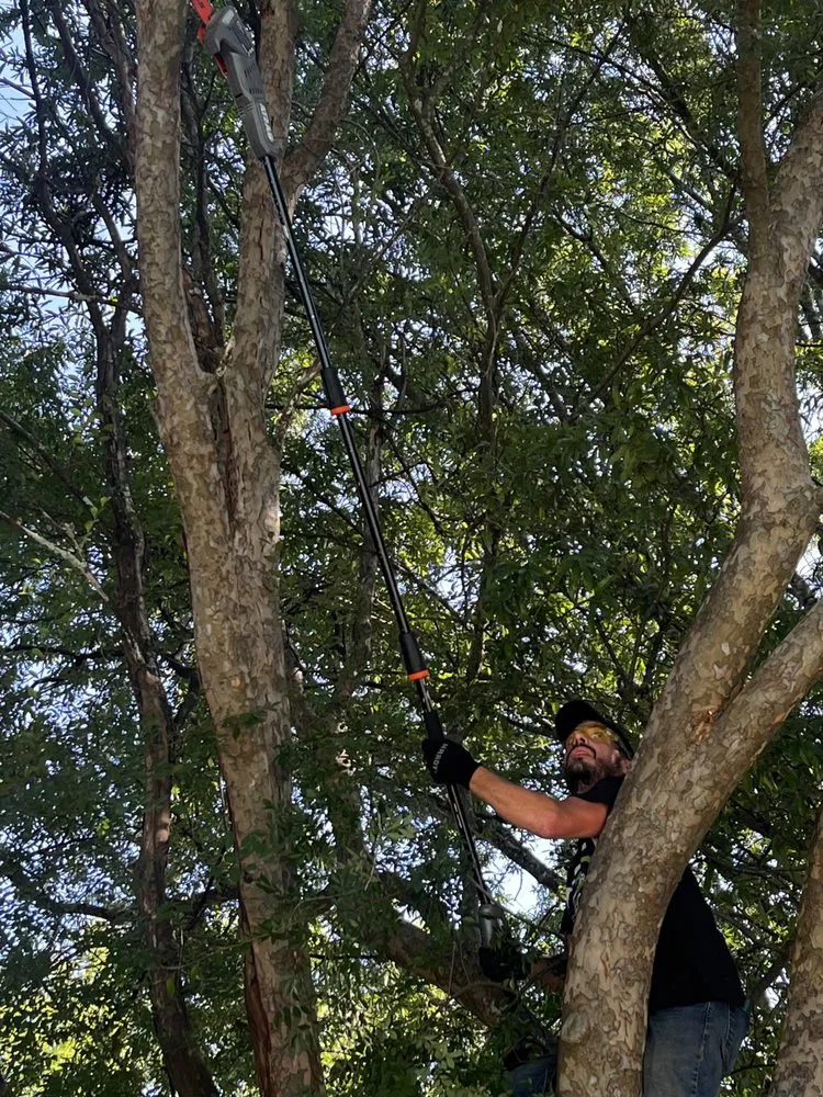 Trusted lawn mowing service in Acworth, GA - E-Scapes Electric Lawn Care