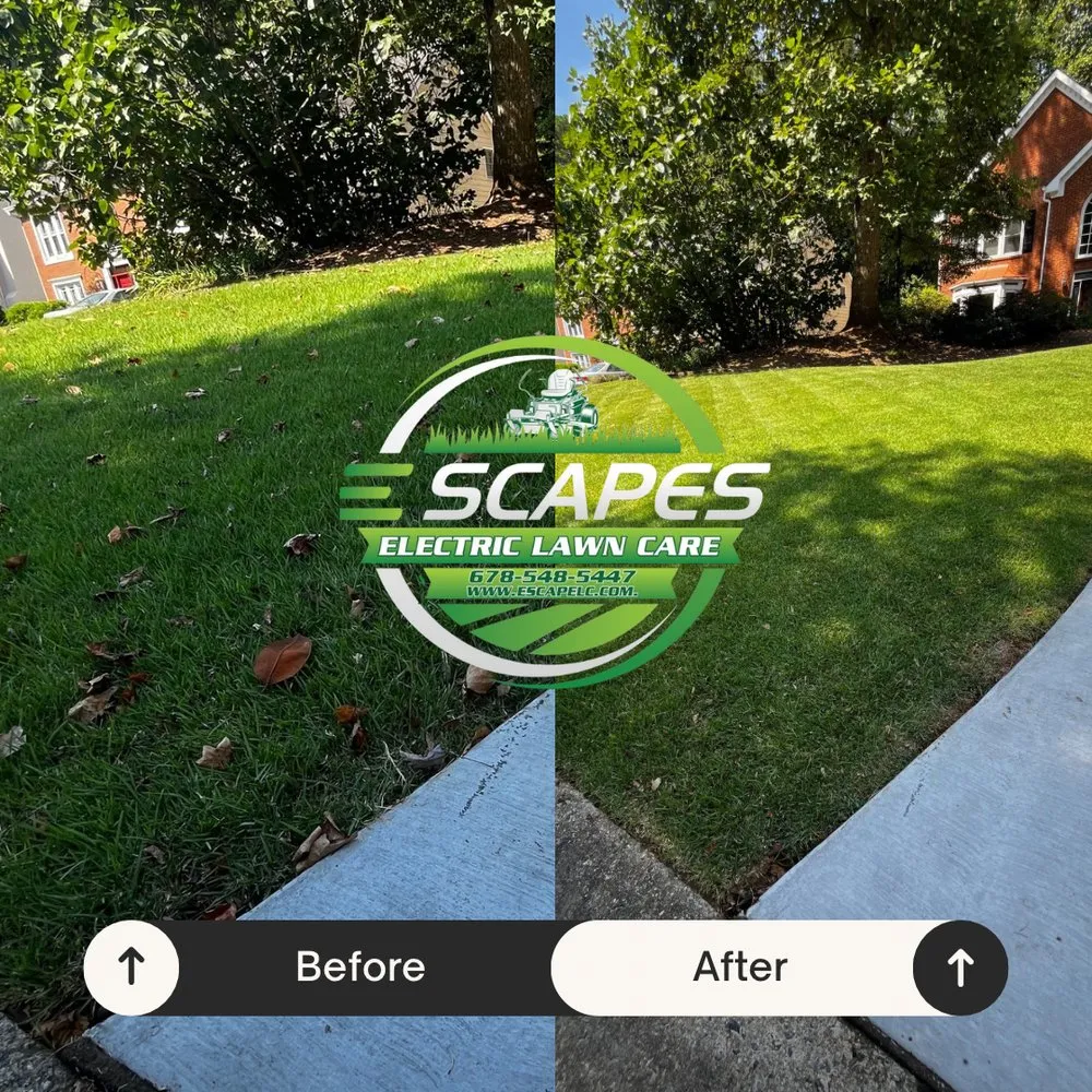 Local yard maintenance in Acworth, GA by E-Scapes Electric Lawn Care