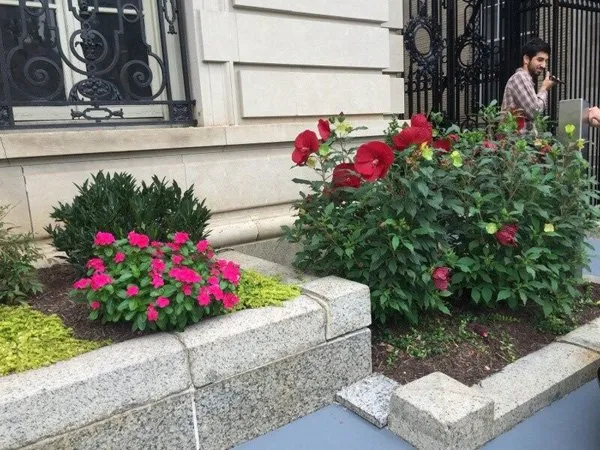 Trusted yard cleanup service in Front Royal, VA by E-Scapes