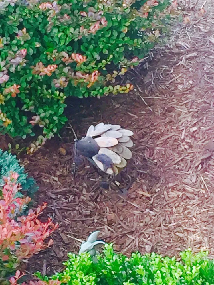 Custom lawn care service near you across Front Royal, VA - E-Scapes