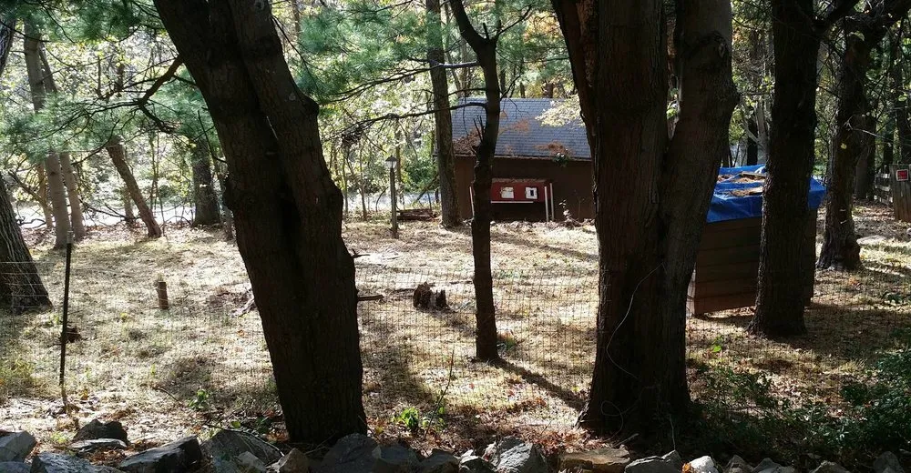 Trusted garden landscaping experts serving Front Royal, VA - E-Scapes