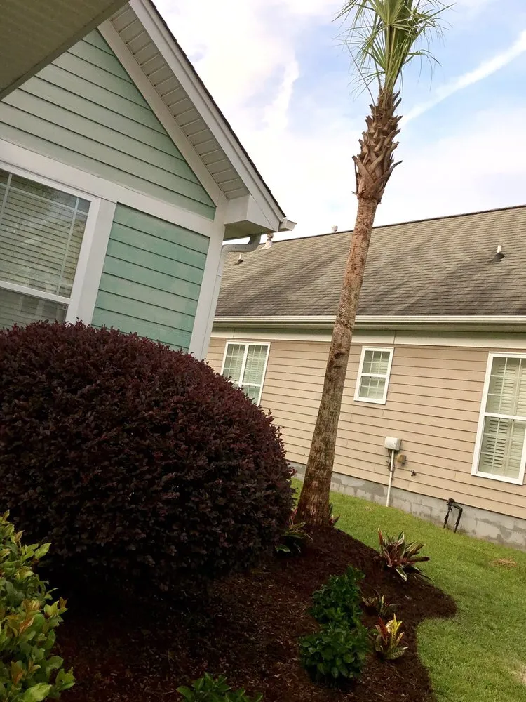 Reliable residential landscaping in Summerville, SC by E-Scapes Landscape Contractors