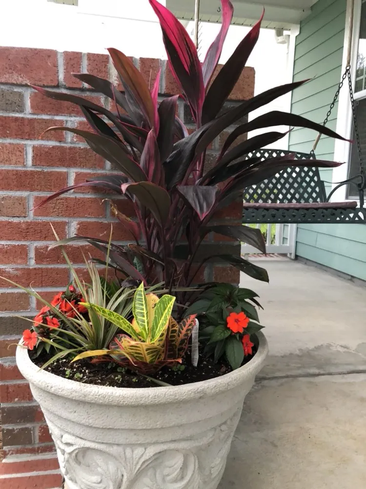 Professional lawn care service in Summerville, SC - E-Scapes Landscape Contractors